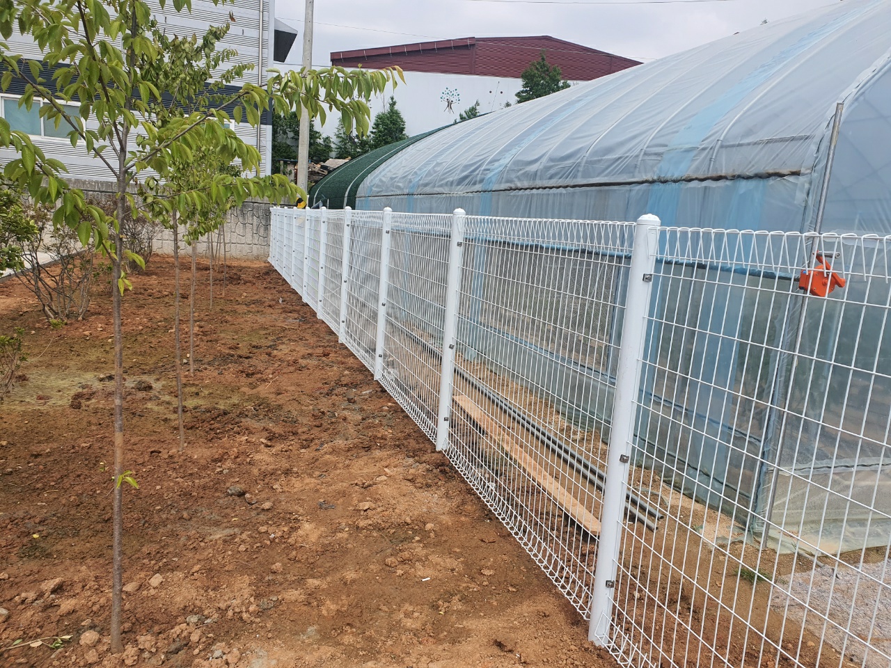 2950055133_eFPvtYp5_e00c69a66f8f718091aa75cd1bc78f510d2ca2e6.jpg 이미지크게보기