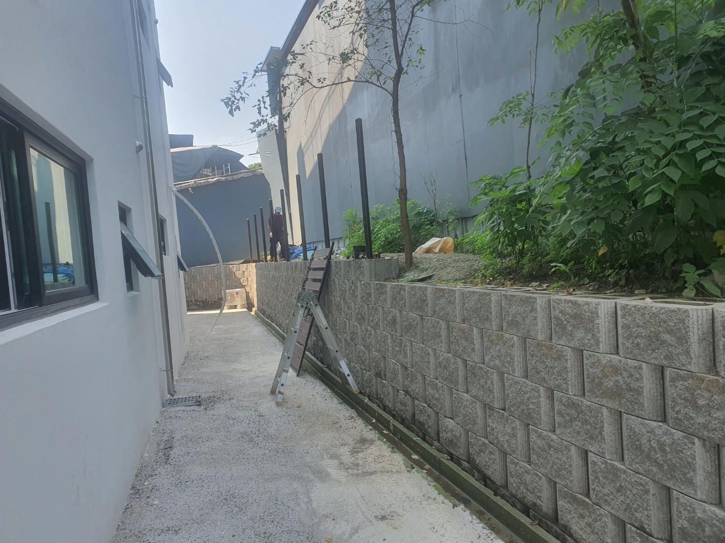 /user/0/01071929085/editor/2107/d0221eb07e7c2a95c35965cf77ffe192_1627263886_6892.jpg 이미지크게보기